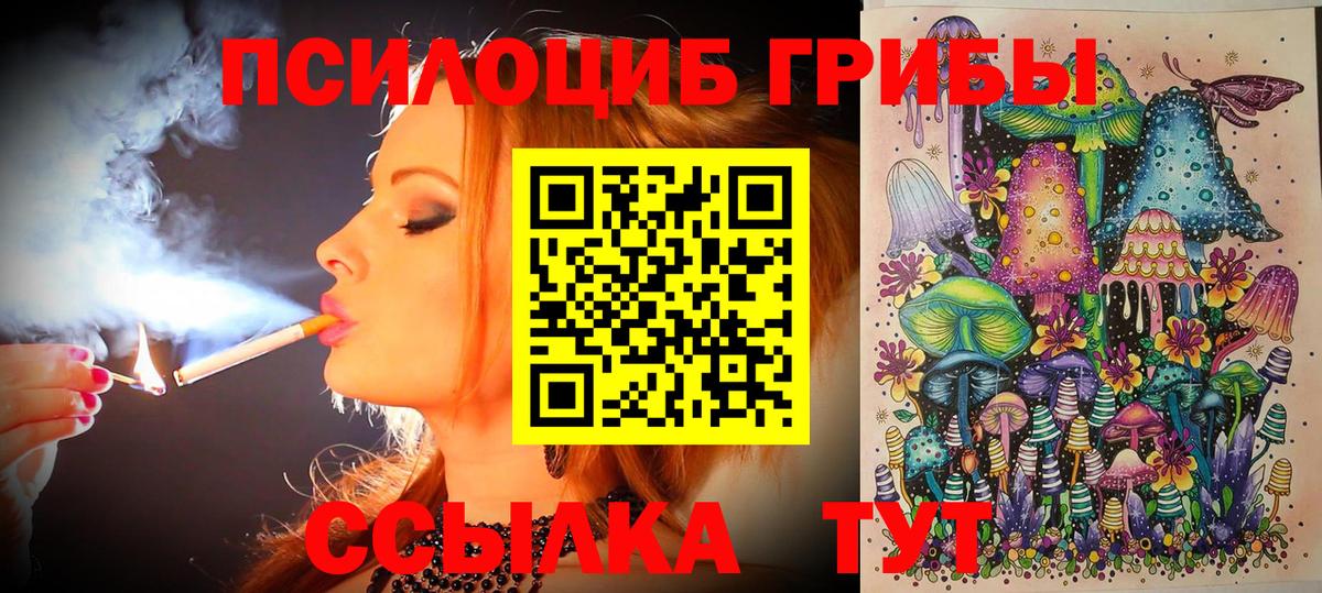 Галлюциногенные грибы Psilocybine cubensis Крымск