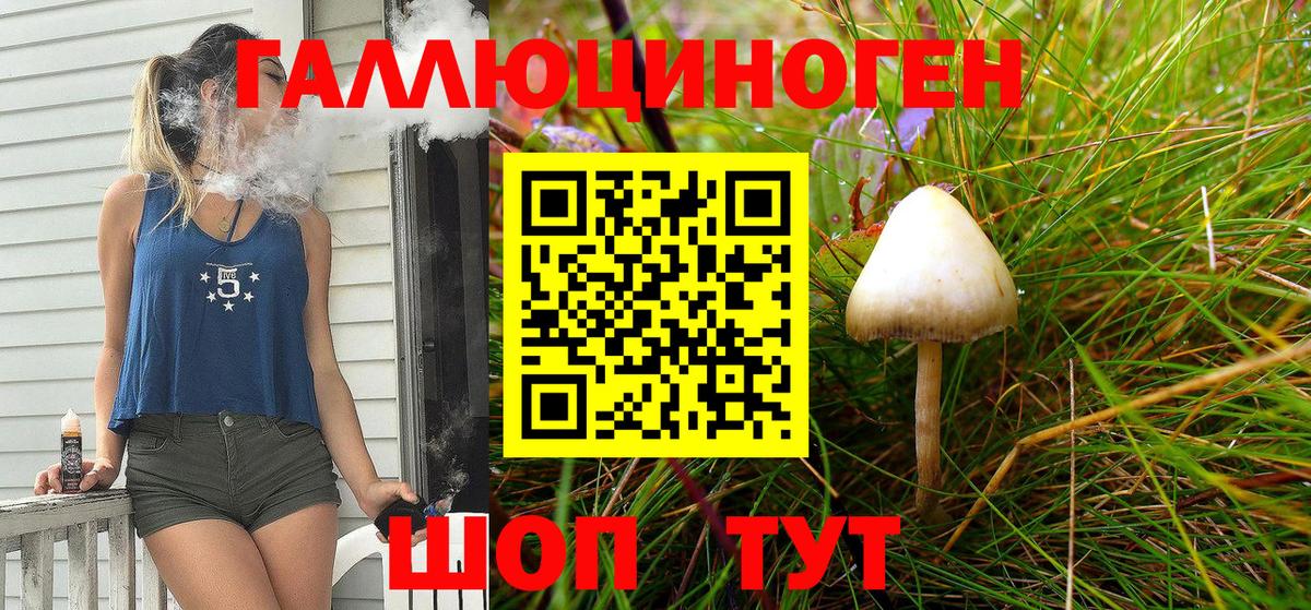 Крымск  Галлюциногенные грибы MAGIC MUSHROOMS  Вход с VPN 